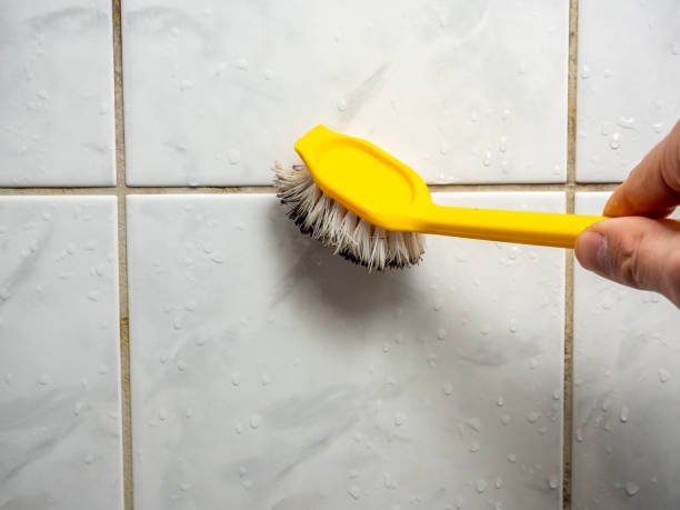 Best Mold Testing  in New Brighton, PA