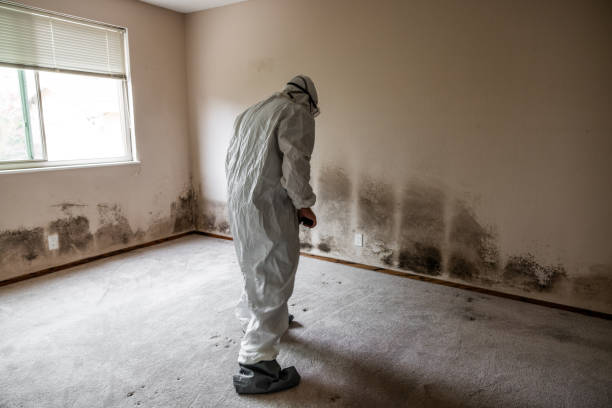 Water Damage Restoration in New Brighton, PA