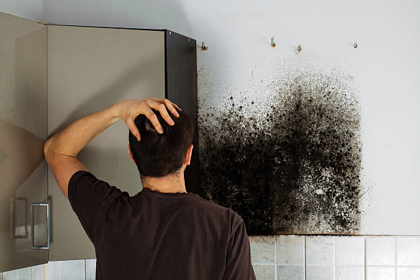 Crawl Space Mold Removal in New Brighton, PA